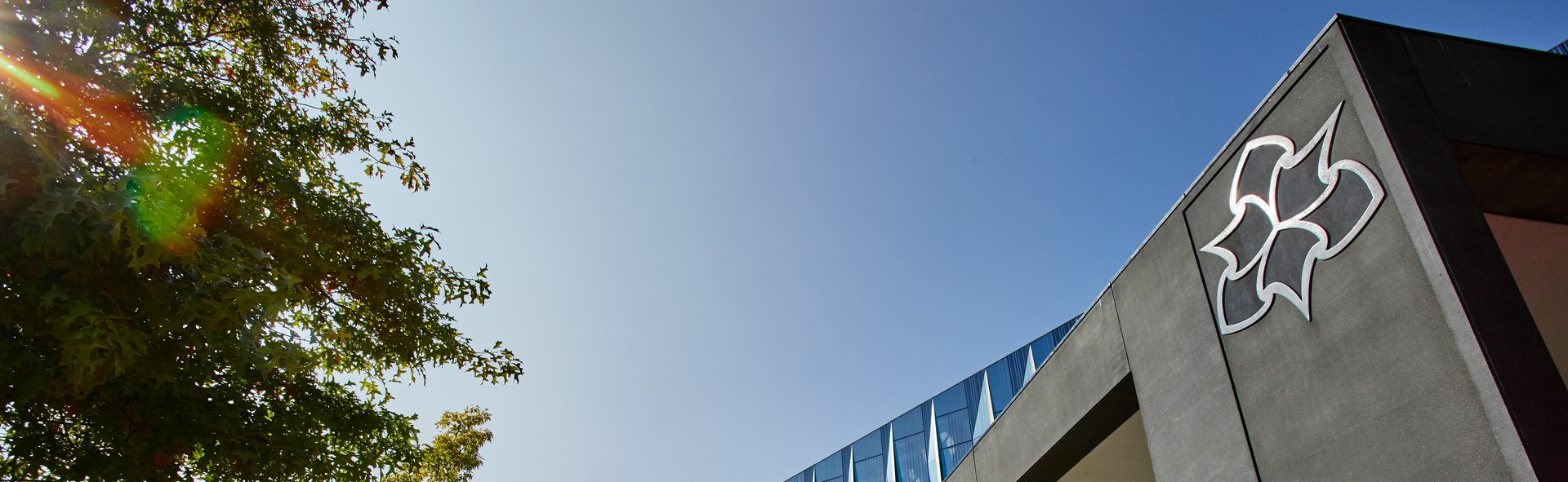 A tree and building on MMU's campus